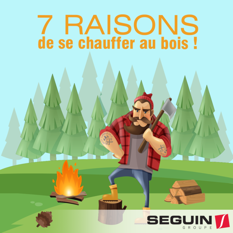 7 Bonnes Raisons De Se Chauffer Au Bois ! Retrouvez Notre Guide