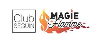 Logo Magie Flamme revendeur de chauffage bois ou granulés à Montceau-les-Mines