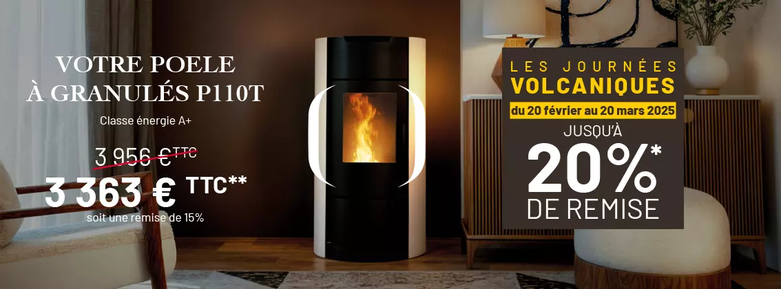 Offre promotionnelle poêles à bois, poêle à granulés, cheminée et foyer